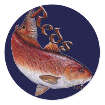 Saltwater Collection of Fish