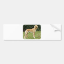 Saluki Bumper Stickers