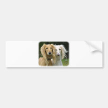Saluki Bumper Stickers