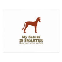 Saluki Carte Postale
