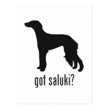 Saluki Carte Postale