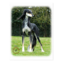 Saluki Cartes Postales