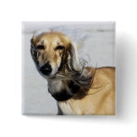Saluki Portrait Pinback Button