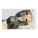 Saluki Portrait Rectangle Sticker