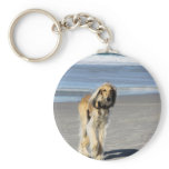 Saluki Stroll on the Beach Keychains
