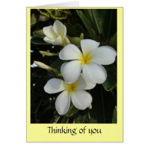 Salutation de Frangipani Cartes