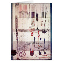 Salutations de Cajal Cartes De Vœux