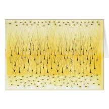 Salutations de Golgi Carte De Vœux