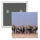 Salute elephants button