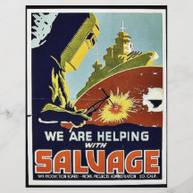 Salvage Custom Flyer