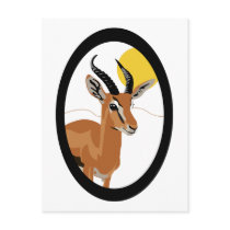 Samer the Gazelle - Long Post Card