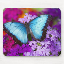 Sammamish Washington Tropical Butterfly 7 Mousepads