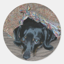 Sammi under weather round stickers