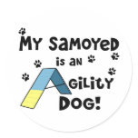 Samoyed Agility Dog Round Stickers