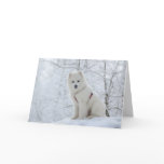 Samoyed dog card