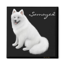 Samoyed Dog Magnet