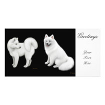 Samoyed Dogs Photo Card