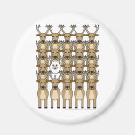 Samoyed in the Reindeer Magnet