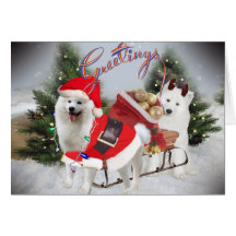 Samoyed Santa and Helper Greetings Cards