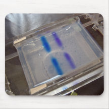 Samples for experiment mousepad