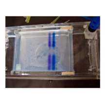 Samples for experiment post cards