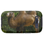 Samsung Galaxy Case - Customized