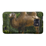 Samsung Galaxy Case - Customized