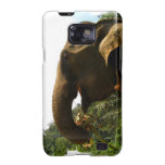 Samsung Galaxy Case - Customized Galaxy S2 Case
