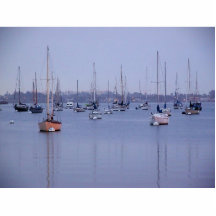 San Diego Bay Sailboats Acrylic Cut Out
