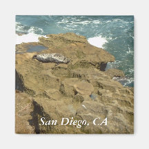 San Diego Sunbathing Seal Magnet
