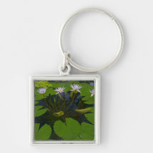 San Francisco Californias Golden Gate Park and Key Chains