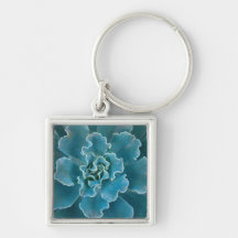 San Francisco Californias Golden Gate Park and Key Chain