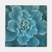 San Francisco Californias Golden Gate Park and Refrigerator Magnet
