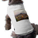San Francisco pet clothing