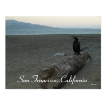 San Francisco, la Californie Cartes Postales
