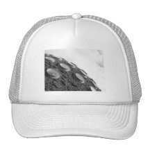 San Francisco Trucker Hat
