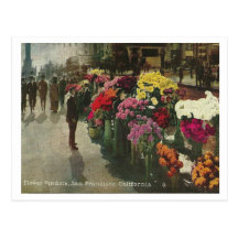 San Francisco vintage Cartes Postales