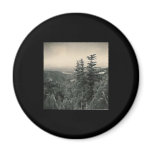 san jose landscape magnet