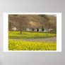 San Jose Wild Flowers Posters