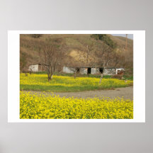 San Jose Wild Flowers Posters