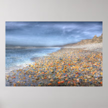 San Onofre Rocky Beach Poster