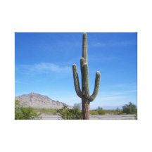 San Tan Valley AZ Canvas Prints