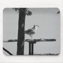 Sand Bar State Park Sea Gull Mouse Pad