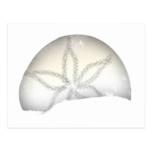 Sand Dollar Post Card