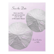 Sand Dollar Save the Date Beach Theme Wedding Post Card