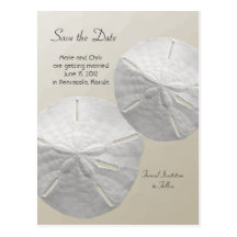 Sand Dollar Save the Date Beach Theme Wedding Post Card