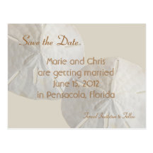 Sand Dollar Save the Date Beach Theme Wedding Postcard