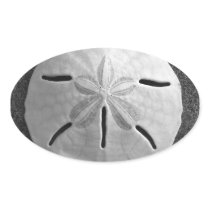Sand Dollar Seashell Beach Sticker