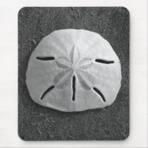 Sand Dollar Seashell Sand Beach Mousepad