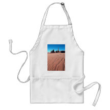 Sand dunes at Yei-be-chai formations, Monument Val Aprons